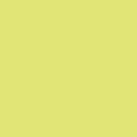 Lime Green Cotton Slub Top